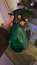 領(lǐng)沃噴水壺澆花家用氣壓式噴水壺超細霧園藝小型灑水壺清潔消毒噴霧器 【消毒專(zhuān)用】碧璽綠 曬單實(shí)拍圖