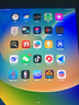 Apple/蘋(píng)果 二手平板電腦  2022/2021/2020/19/18/17款 iPad游戲 9新16款 pro 128G WiFi 9.7寸 贈品 觸摸筆 保護殼 充電器 鋼化膜 曬單實(shí)拍圖