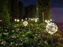 太陽(yáng)能地插銅線(xiàn)球燈圓球蘆葦燈戶(hù)外庭院草坪裝飾公園景區亮化燈 【直徑8cm】12V-接電款 曬單實(shí)拍圖