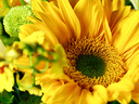 奧之心（OM SYSTEM）90mm F3.5 Macro IS PRO 定焦微距鏡頭 奧林巴斯微單相機鏡頭 等效180mm 曬單實拍圖