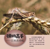 【新華正版】昆蟲世界的奧秘 正版精裝硬殼昆蟲百科知識圖書昆蟲基本概況描述十萬個為什么兒童科普百科全書 7-12歲青少年中小學生課外閱讀 曬單實拍圖