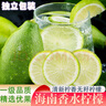 京極鮮  海南無籽香水檸檬青檸檬薄皮清香新鮮水果檸檬奶茶店專供整箱 2斤香水檸檬【超值實惠】 曬單實拍圖