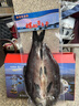 亞又婧【禮盒】千島湖螺螄青魚干禮盒整條特產(chǎn)干魚臘魚過年春節(jié)年貨禮品 3斤一條【禮盒裝】 曬單實(shí)拍圖