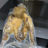 花果山連云港特產(chǎn)風(fēng)鵝鳳鵝老鵝鹵味熟食真空包裝簡袋餐飲家用風(fēng)鵝 580g（半只） 曬單實拍圖