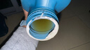 殼牌（Shell）恒護(hù)超凡喜力零碳環(huán)保 天然氣全合成汽車機(jī)油亞系專屬 5W-30  4L SP級 曬單實拍圖