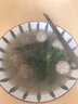 利園正宗潮汕豬肉丸瘦肉丸手工肉丸子火鍋食材汕頭特產(chǎn)貢丸燒烤丸子 【2斤】潮汕豬肉丸 1000g 曬單實(shí)拍圖
