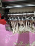 好廚景不銹鋼電動(dòng)壓面機家用面條機小型多功能全自動(dòng)小型餃子皮壓面商用一體機 豪華版不銹鋼200型550瓦 曬單實(shí)拍圖