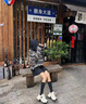 卡米高內(nèi)增高9cm厚底老爹鞋女2025年春季新款網(wǎng)面透氣顯腳小休閑運(yùn)動(dòng)鞋 奶油米內(nèi)增高9cm 36 (230mm) 曬單實(shí)拍圖