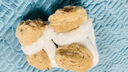 新款卡皮仿兔毛全包耳罩學(xué)生保暖耳捂防凍冬季耳罩女防寒耳包 卡皮巴拉毛絨耳罩(白色)1個(gè) 曬單實(shí)拍圖