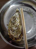 尚致生蠔鮮活特大海蠣子牡蠣帶箱新鮮牡蠣肉 生鮮貝類 2XL凈重4斤【15-18個】嘗鮮裝 曬單實拍圖
