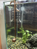 共度（Gong Du）水草缸魚(yú)缸不銹鋼CO2細化器水草養殖掛式二氧化碳細化器CO2細化片 SC17細化器長(cháng)35cm 曬單實(shí)拍圖