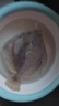 裕琳瓏 多寶魚 新鮮海捕鮮活冷凍偏口魚八寶魚刺少肉多海鮮水產(chǎn)生鮮魚類 已殺好多寶魚5條 (9兩-1斤/條) 曬單實拍圖