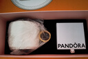 潘多拉（PANDORA）大吉象項(xiàng)鏈套裝漸變藍(lán)色玻璃吊飾幸運(yùn)象征diy串珠七夕情人節(jié)禮物 大吉象吊飾 均碼 曬單實(shí)拍圖