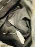 太平鳥(niǎo)男裝西服套裝外套男士單排扣便服 西褲（修身） XL  曬單實(shí)拍圖