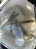 佳釣尼（JIADIAONI）新魂二代抄網(wǎng)全套碳素超輕超硬抄魚(yú)撈魚(yú)一體抄網(wǎng)竿大物伸縮裸竿 新魂抄網(wǎng)二代3米+折疊網(wǎng)頭40cm 超輕超硬 曬單實(shí)拍圖