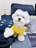 小狗狗衣服寵物秋冬款泰迪比熊小型犬約克夏博美四腳絨衣可牽引 灰小熊 (可牽引) XL背長(cháng)40 建議11-16斤 曬單實(shí)拍圖