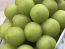 日本引進(jìn)品種陽(yáng)光玫瑰葡萄 新鮮晴王禮盒香印葡萄孕婦應季水果 4斤（精美禮盒裝） 曬單實(shí)拍圖