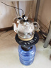 美能迪桶裝水燒水壺一體機電動(dòng)上水自動(dòng)抽水器帶加熱燒水器大桶水泡茶桶裝水飲水機底上水電熱水壺 黑色【底部上水】帶茶漏+藍光玻璃壺 1L 曬單實(shí)拍圖
