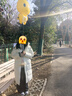 安踏王一博同款速暖羽絨丨長款四防羽絨服冬季男裝鴨絨保暖外套 曬單實拍圖