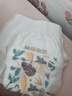 碧芭寶貝收音機(jī)BabyRadio拉拉褲 XL30片 曬單實(shí)拍圖