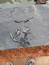 黃骨魚(yú)苗活體淡水養殖食用鮮活魚(yú)黃丫頭黃鴨叫昂刺魚(yú)黃顙魚(yú)冷水觀(guān)賞魚(yú)黃辣丁魚(yú)苗批發(fā) 50條5-7厘米黃骨魚(yú)苗(多發(fā)10%防損) 曬單實(shí)拍圖