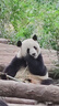 超級安踏ACE丨運(yùn)動(dòng)休閑鞋男鞋安踏夏季網(wǎng)球復(fù)古綿綿彈老爹鞋子112518803U 象牙白/新墨水藍(lán)-1 42 /(男8.5碼) 曬單實(shí)拍圖