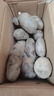 福奶奶云南紫土豆花青素土豆麗江黑土豆黑美人黑金剛現(xiàn)挖馬鈴薯5斤|9斤 精品紫土豆 凈重5斤 曬單實拍圖
