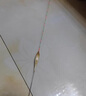 阿盧a62鯽魚(yú)漂輕口蘆葦浮漂醒目高靈敏度行程棗核型黑坑魚(yú)漂野釣浮標 LPA62蘆葦本色大紅大綠加大二目 5號一支（約2.15克） 曬單實(shí)拍圖