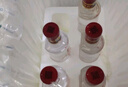 瀘州老窖國窖1573 濃香型白酒52度小酒版自飲小酌 100mL 6瓶 禮盒 曬單實拍圖