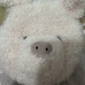 Jellycat英國高端毛絨玩具 小豬包包19cm 斜挎包 七夕情人節(jié)禮物 曬單實(shí)拍圖