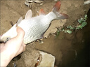 mondoba飛德釣船型餌籠歐鯉釣配件拋竿打窩器中通附餌鉛墜托餌器飛德餌籠 主圖款 曬單實(shí)拍圖
