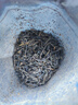 中茶猴王天尖安化黑茶袋裝散茶湖南特產(chǎn)益陽(yáng)湘尖茶茶葉 1袋裝100g 曬單實(shí)拍圖