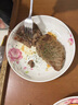犇西詩原切菲力牛排1200g 谷飼西冷眼肉上腦板腱牛排生鮮牛肉食材燒烤 【暢享菲力1200g】9-12片 曬單實拍圖