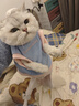 曇蓓漫貓咪狗狗寵物衣服小型幼貓犬加厚加絨保暖衣服冬季寵物保暖衣服飾 可愛(ài)小熊絨絨衣、棕色 M （建議體重5-8斤） 曬單實(shí)拍圖