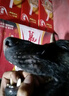 狗狗皮膚病噴劑杜賓犬專(zhuān)用真菌螨蟲(chóng)感染狗癬噴霧狗狗身上長(cháng)疙瘩癢 曬單實(shí)拍圖