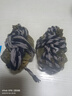 【活蟹】六月黃大閘蟹鮮活公母大螃蟹現(xiàn)貨陽澄鎮(zhèn)發(fā)河蟹禮盒含繩重 【六月黃2.3-2.0兩】8只 只只精選 黃多肉滿 無黃死蟹包賠 曬單實(shí)拍圖