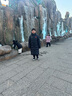 李寧（LI-NING）灰色長款連帽羽絨服男l(wèi)ogo小標(biāo)秋冬季新款防風(fēng)保暖運(yùn)動(dòng)外套男 標(biāo)準(zhǔn)黑（旗款+加厚保暖） XL 曬單實(shí)拍圖