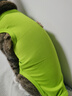 【居家舒適】春季薄款狗狗衣服貓咪衣服背心T恤四腳衣全包透氣 熒光綠小熊標(biāo)四腳衣 M碼約5-7斤 曬單實(shí)拍圖