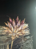 Eternelle法國永恒高檔胸針女氣質(zhì)輕奢高級感別針扣領(lǐng)針胸花長輩禮物 曬單實拍圖