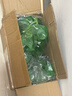 綠秀仿真吊籃綠蘿假花藤條壁掛植物吊蘭藤蔓綠葉裝飾遮擋掛墻綠植垂吊 精靈綠蘿一束+掛籃 曬單實拍圖