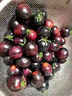 順豐山東壽光藍莓紫黑色小番茄新鮮生吃花青素水果黑番茄小柿子 順豐 3斤 曬單實(shí)拍圖