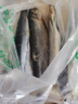 灣鈺蜜東北沙丁魚(yú)遼寧山東野生青魚(yú)海魚(yú)懶人之寶新鮮燒烤食材 凈重5斤共9-10條魚(yú)滿(mǎn)籽滿(mǎn)油） 曬單實(shí)拍圖
