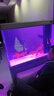 漢霸魚缸客廳新款2025年超白玻璃大型水族箱家用落地龍魚缸金魚缸 淺灘灰 屏風1.0米長x40cm寬x155cm高 曬單實拍圖