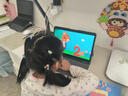 讀書郎（readboy）學習機C80/C80Pro 全科學練機學生平板小學到高中課程同步14英寸護眼大屏 學習平板電腦AI旗艦新款 C80【16+512G】14英寸贈AI手寫筆 曬單實拍圖