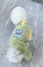 妙普樂(lè )牽引小狗狗衣服冬天比熊泰迪博美雪納瑞小型犬寵物秋冬季四腳冬款 綠兔兔 （可牽引） L號背長(cháng)35(建議8-10斤) 曬單實(shí)拍圖