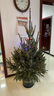 真的圣誕樹(shù)真樹(shù)挪威云杉樹(shù)香松盆栽松樹(shù)2025諾貝松活的圣誕樹(shù)客廳 1.5-1.7米圣誕樹(shù)+盆＋掛件+燈帶【推薦】 曬單實(shí)拍圖