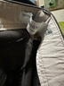 HOLLISTER24春秋款工裝黑色多色側邊大口袋長褲男裝KI330-4113 深棕色 30 32 180/76A 曬單實拍圖