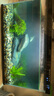 森悠（SARYOR）魚缸懶人沉木水榕造景裝飾活體植物水族箱真水草套餐淡水增氧水草 垂淚莫斯沉木+鳳尾莫斯沉木 曬單實拍圖