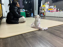 顧家地暖墊電熱地毯石墨烯加熱地毯加熱地墊客廳發(fā)熱地毯地?zé)釅|電熱墊 【店鋪熱銷】暖巖米駝 150x200cm 曬單實(shí)拍圖
