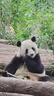 超級安踏ACE丨運(yùn)動(dòng)休閑鞋男鞋安踏夏季網(wǎng)球復(fù)古綿綿彈老爹鞋子112518803U 象牙白/新墨水藍(lán)-1 42 /(男8.5碼) 曬單實(shí)拍圖